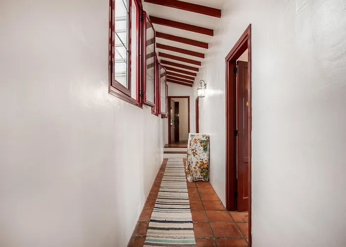 Abejera * La Orotava