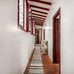 Abejera * La Orotava