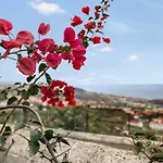 Abejera *